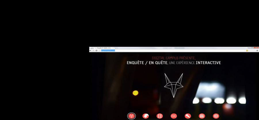 Site Internet - www.digitalenquete.com